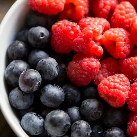 Gil Vicente - Charming Pensjonat